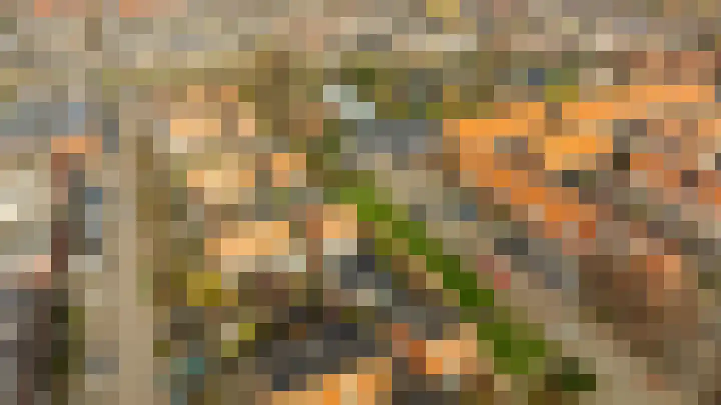 Spinaziestraat 6 Wateringen thumbnail 55