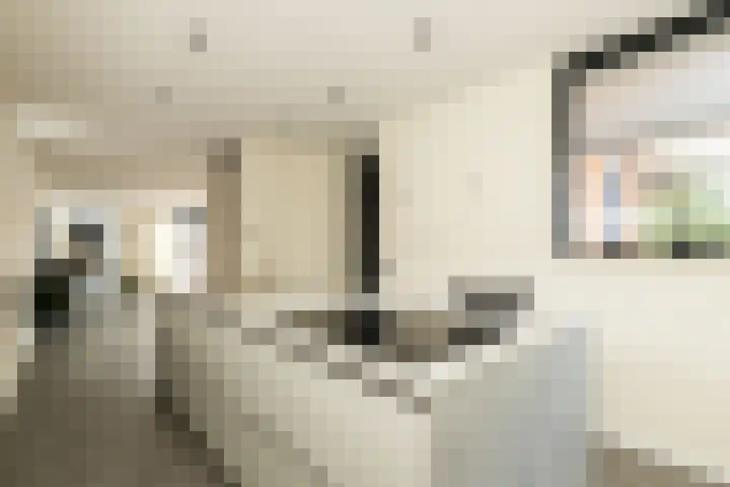 Spinaziestraat 6 Wateringen thumbnail 8