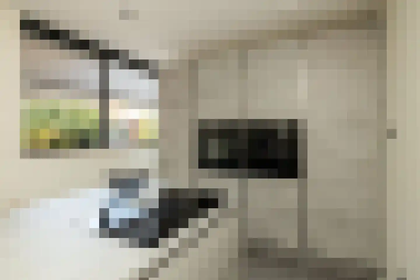 Spinaziestraat 6 Wateringen thumbnail 9