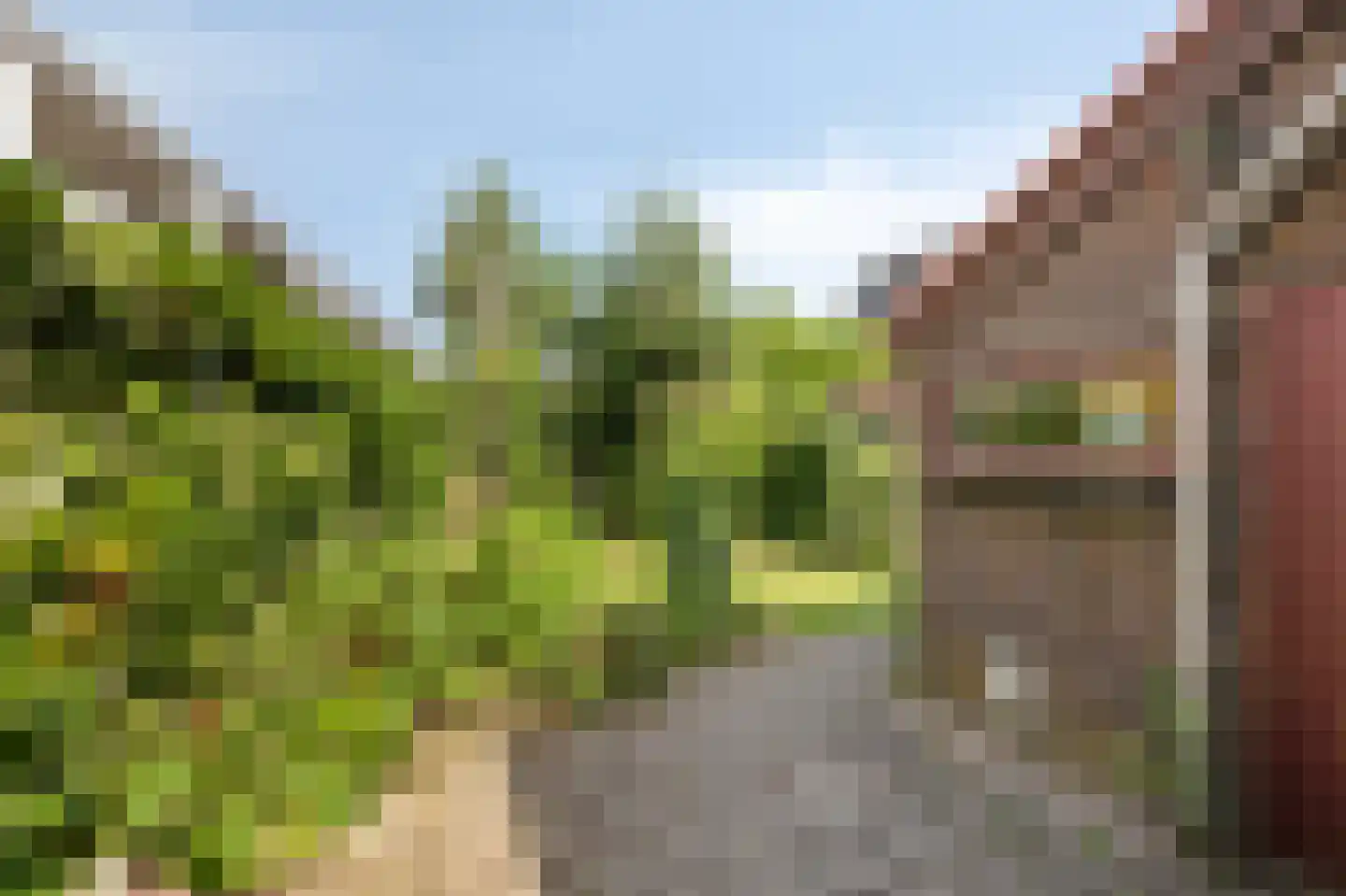 Spinbaan 12 Doetinchem thumbnail 23