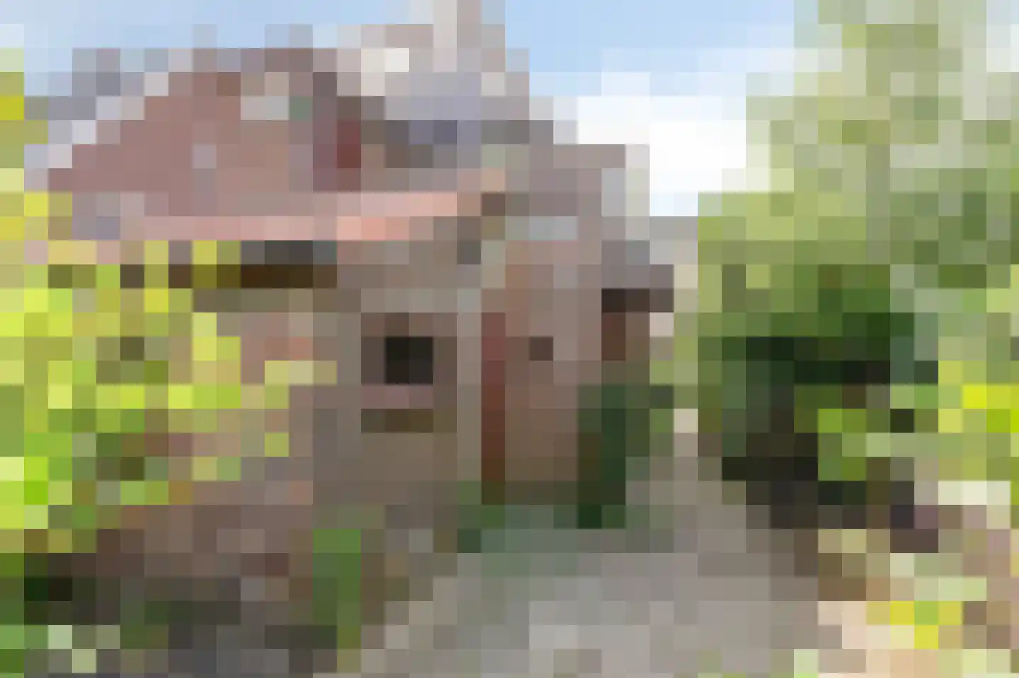 Spinbaan 12 Doetinchem thumbnail 31