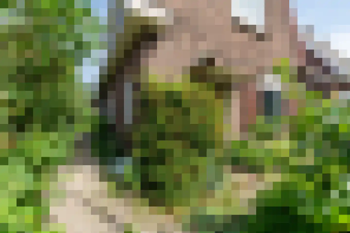 Spinbaan 12 Doetinchem thumbnail 7