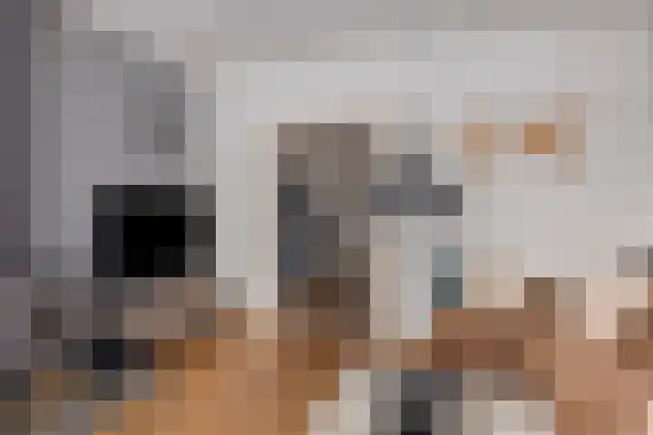 Spinbaan 4 Doetinchem thumbnail 12