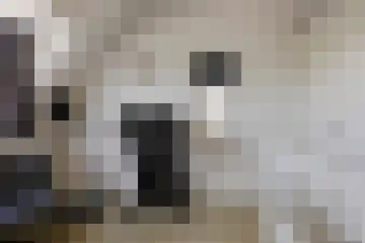 Spinbaan 4 Doetinchem thumbnail 60