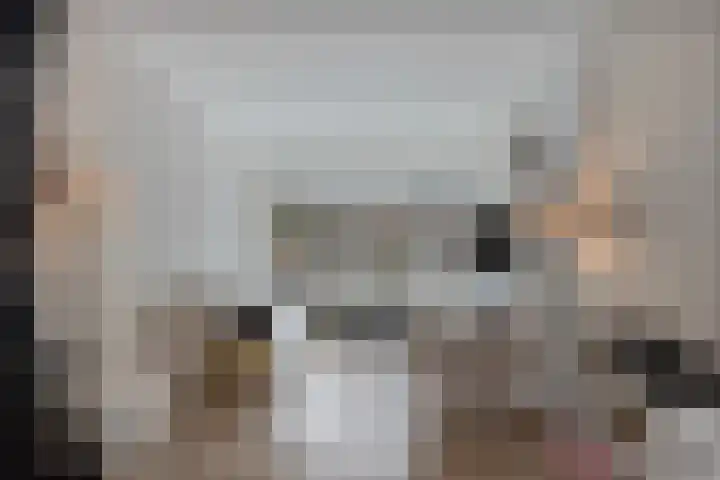 Spinbollaan 53 Rotterdam thumbnail 5