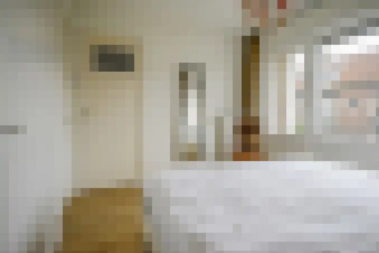Spinbollaan 69 Rotterdam thumbnail 23
