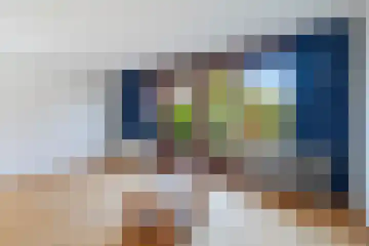 Spinbolmolen 15 Papendrecht thumbnail 11