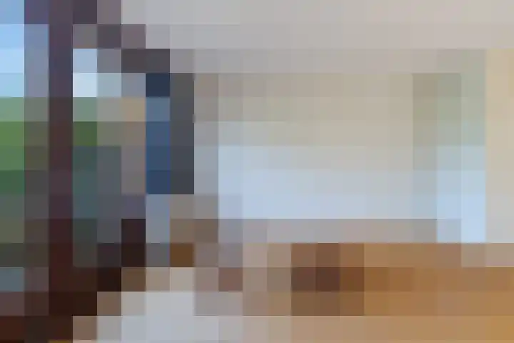 Spinbolmolen 15 Papendrecht thumbnail 12