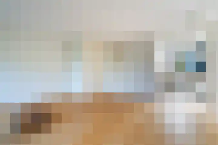 Spinbolmolen 15 Papendrecht thumbnail 13