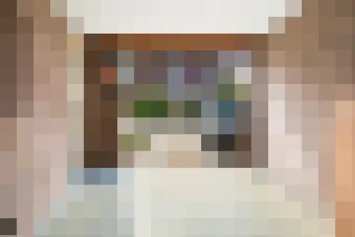 Spinbolmolen 15 Papendrecht thumbnail 17