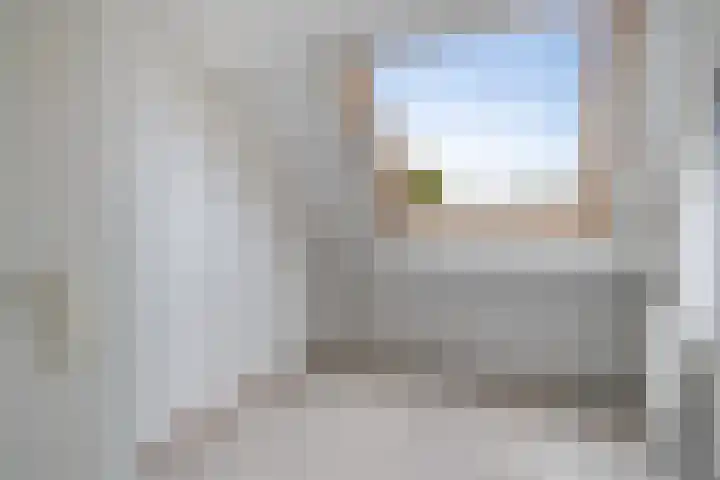 Spinbolmolen 15 Papendrecht thumbnail 24