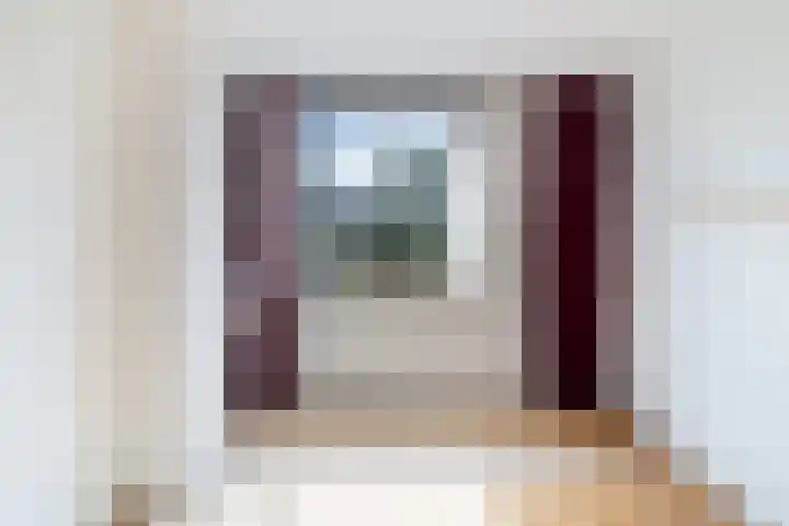 Spinbolmolen 15 Papendrecht thumbnail 25