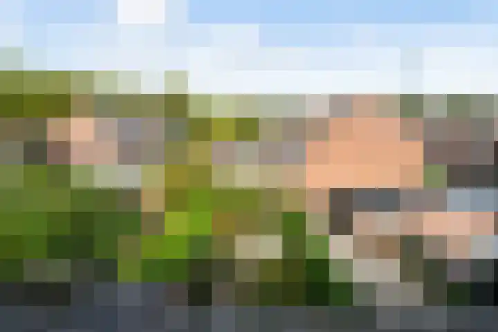 Spinbolmolen 15 Papendrecht thumbnail 33