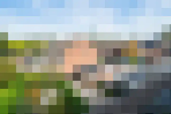 Spinbolmolen 15 Papendrecht thumbnail 34