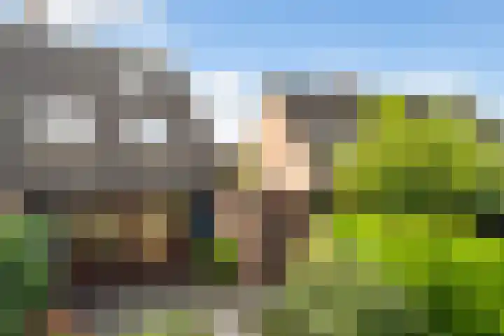 Spinbolmolen 15 Papendrecht thumbnail 35