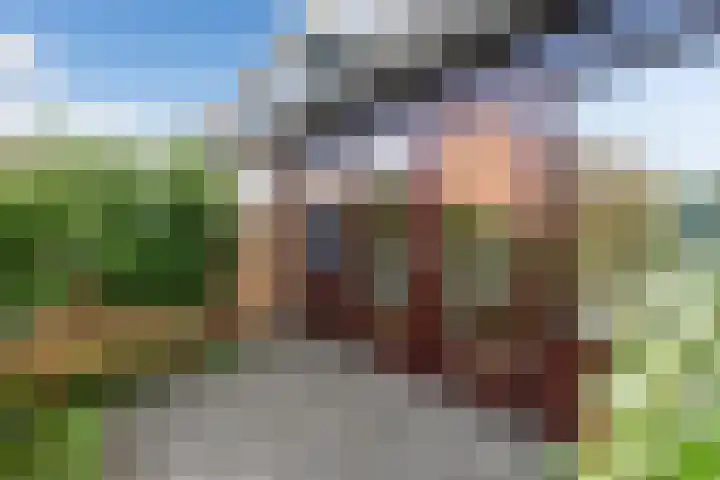 Spinbolmolen 15 Papendrecht thumbnail 36