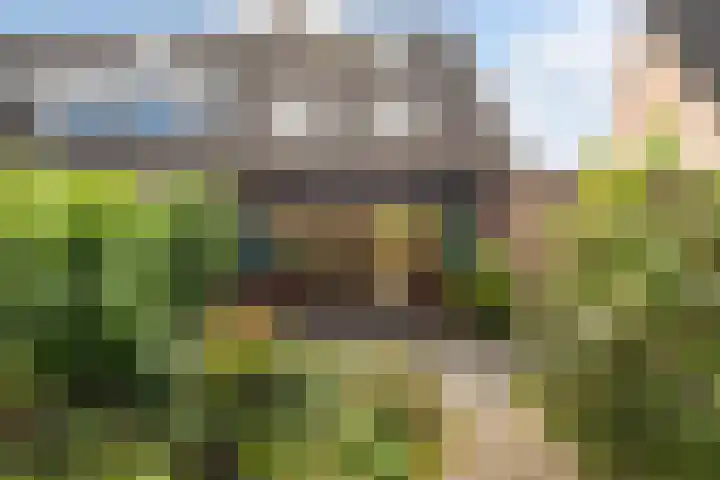 Spinbolmolen 15 Papendrecht thumbnail 37