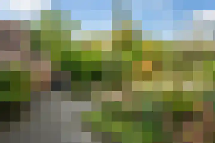 Spinbolmolen 15 Papendrecht thumbnail 38