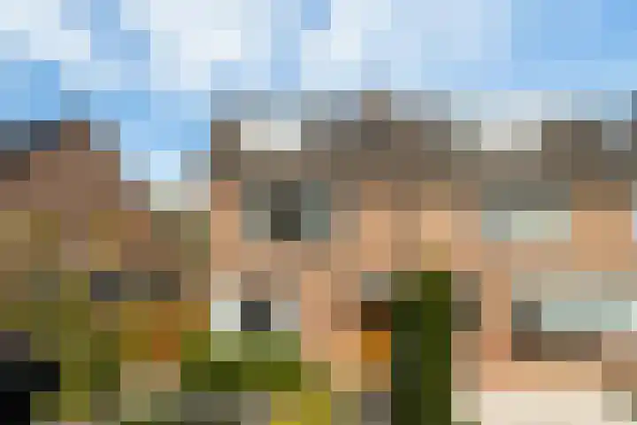 Spinbolmolen 15 Papendrecht thumbnail 4