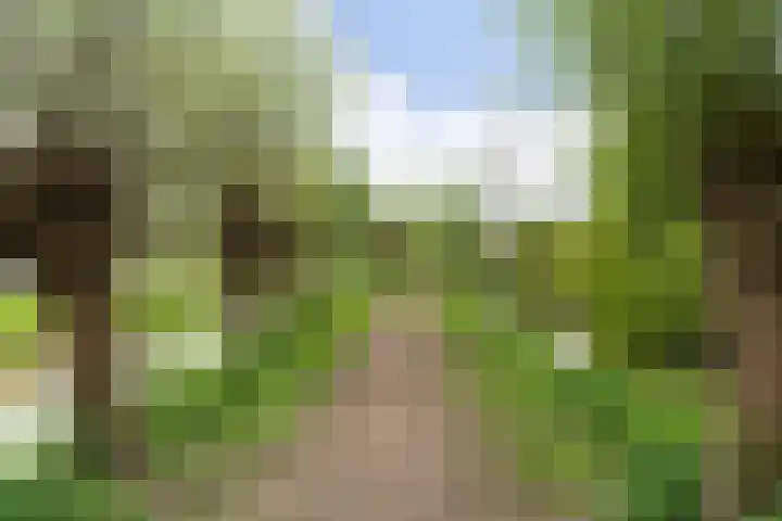 Spinbolmolen 15 Papendrecht thumbnail 40