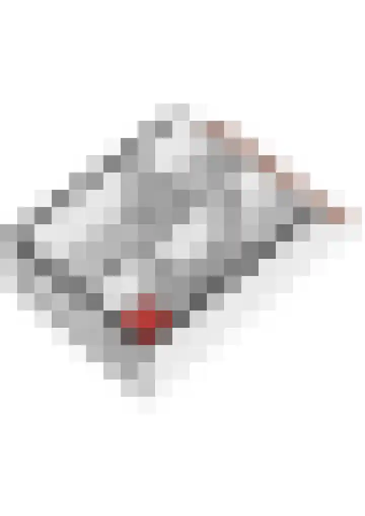 Spinbolmolen 15 Papendrecht thumbnail 42