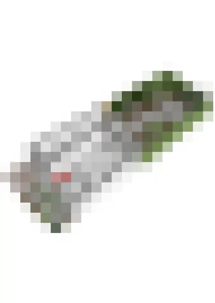 Spinbolmolen 15 Papendrecht thumbnail 44