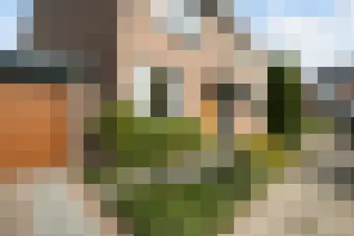 Spinbolmolen 15 Papendrecht thumbnail 5