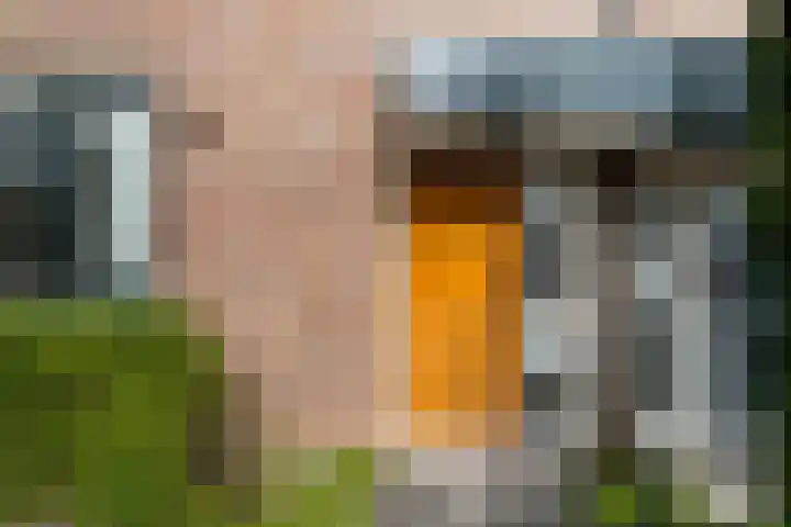 Spinbolmolen 15 Papendrecht thumbnail 7