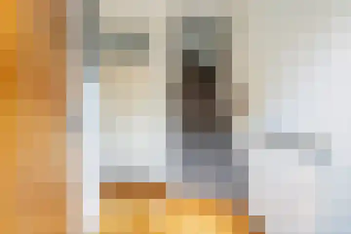 Spinbolmolen 15 Papendrecht thumbnail 8