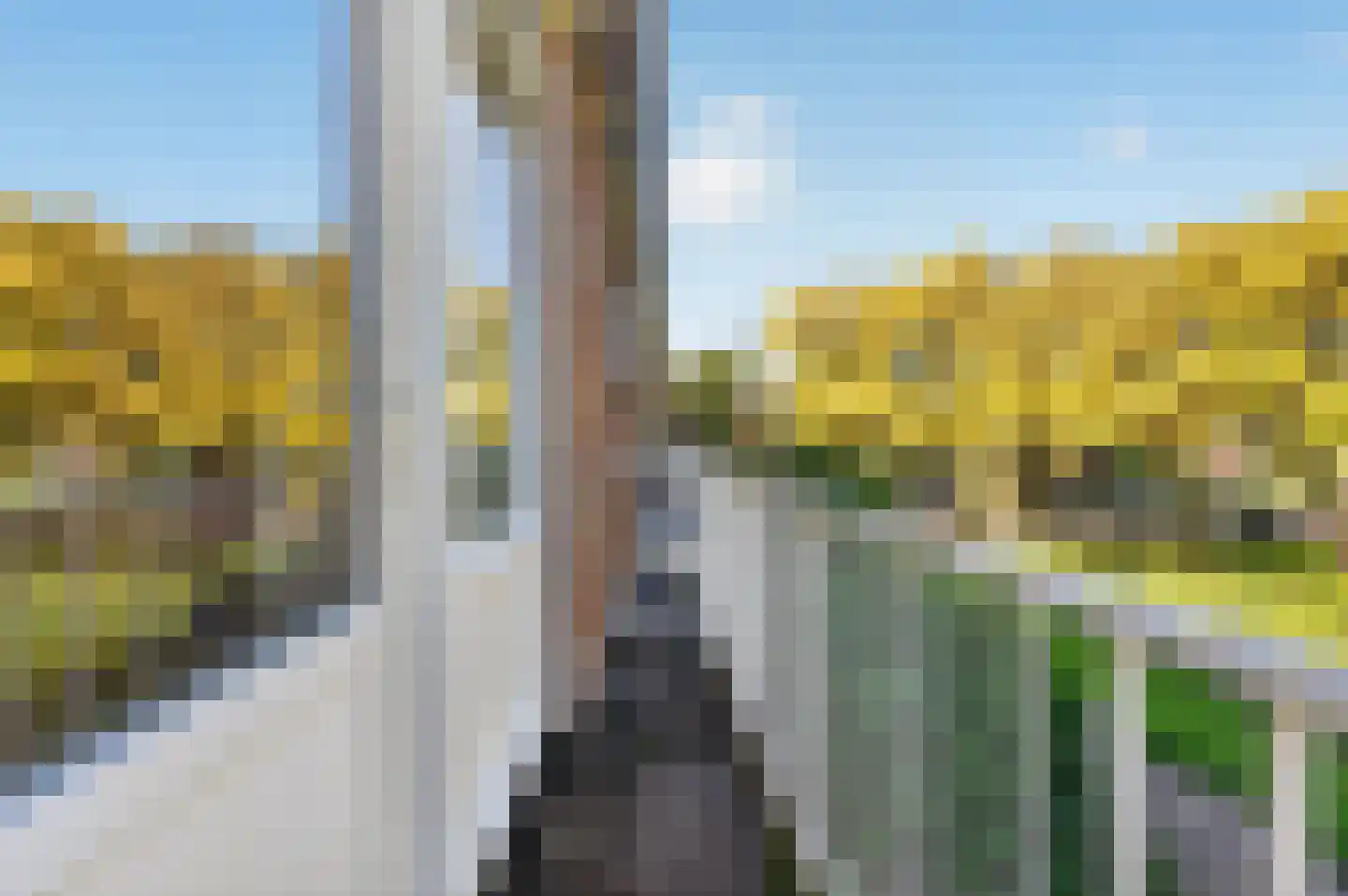 Spinbolplein 4 Rotterdam thumbnail 31