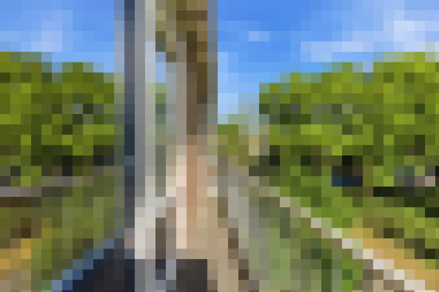 Spinbolplein 5 Rotterdam thumbnail 22