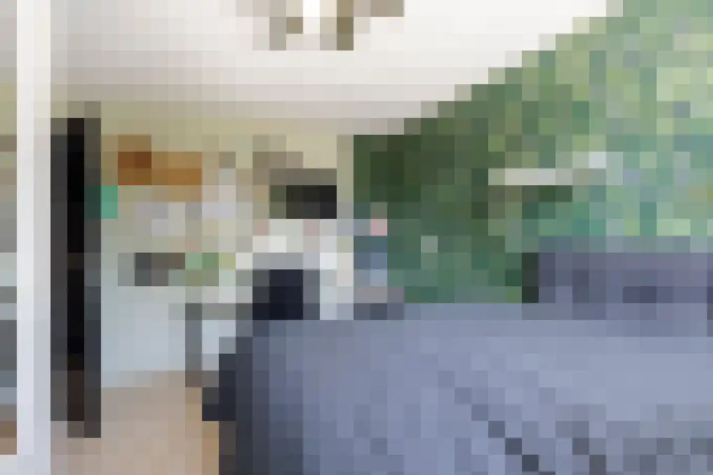 Spindermolen 16 Hardinxveld-Giessendam thumbnail 18