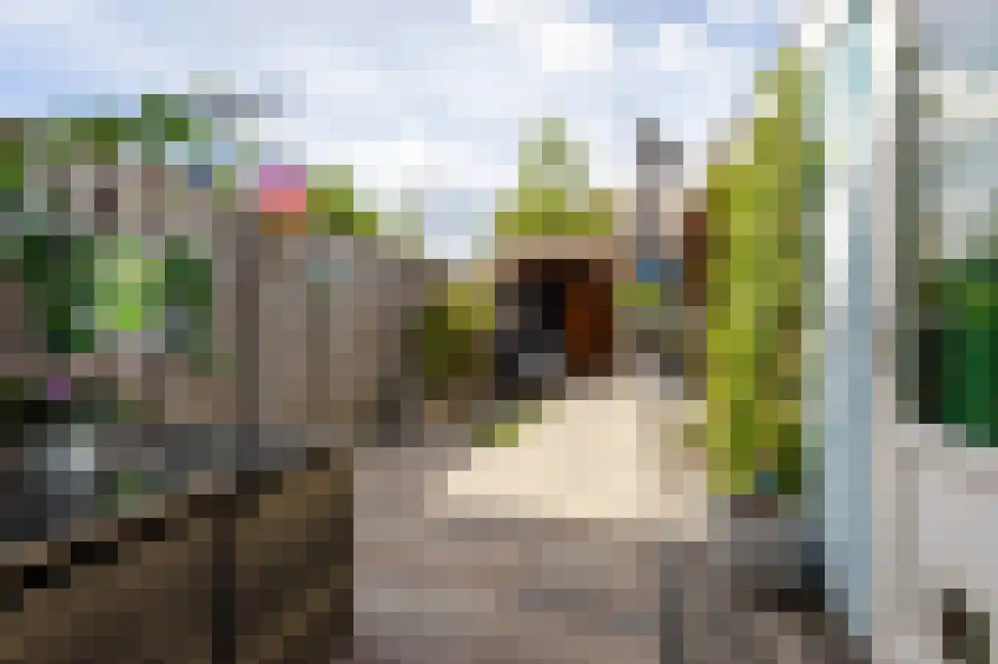 Spindermolen 16 Hardinxveld-Giessendam thumbnail 29
