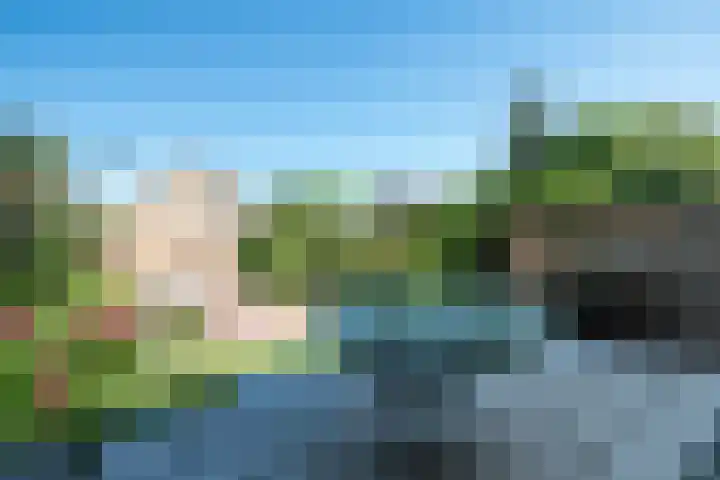 Spindermolen 5 Hardinxveld-Giessendam thumbnail 22