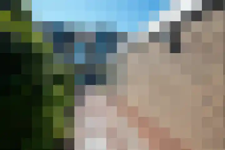 Spindermolen 5 Hardinxveld-Giessendam thumbnail 23