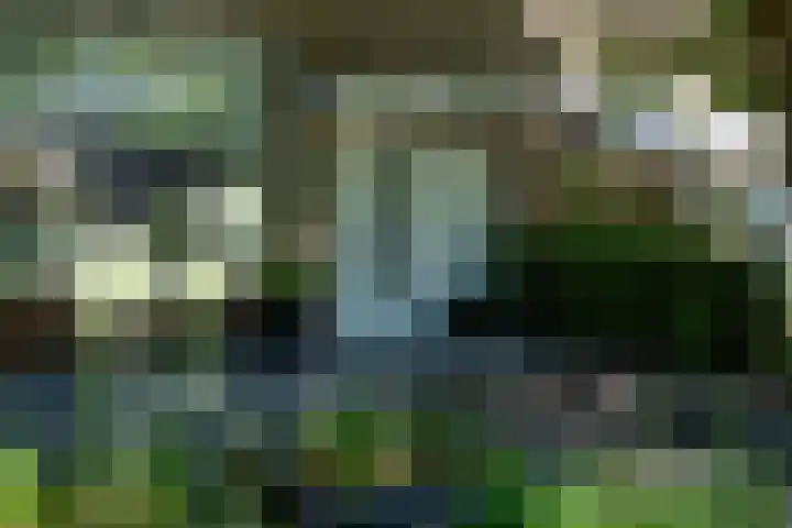 Spindermolen 5 Hardinxveld-Giessendam thumbnail 24