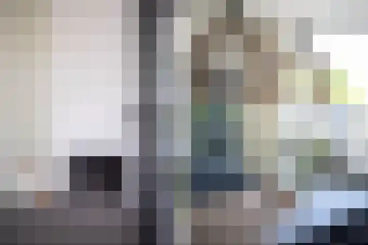 Spindermolen 5 Hardinxveld-Giessendam thumbnail 5