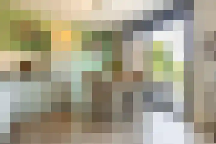 Spinderweg 115 Ede thumbnail 11