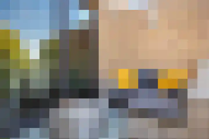 Spinderweg 115 Ede thumbnail 21