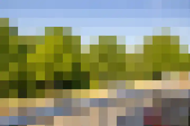 Spinderweg 115 Ede thumbnail 22