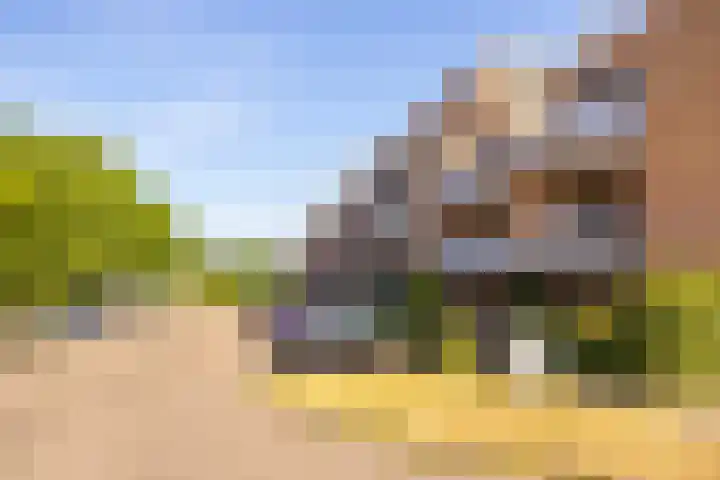 Spinderweg 115 Ede thumbnail 24