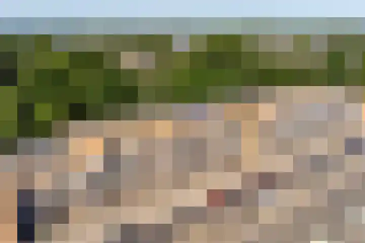 Spinderweg 115 Ede thumbnail 27