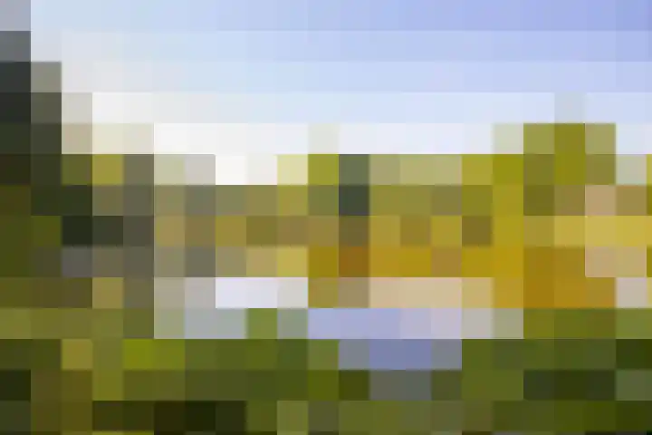 Spinderweg 115 Ede thumbnail 28