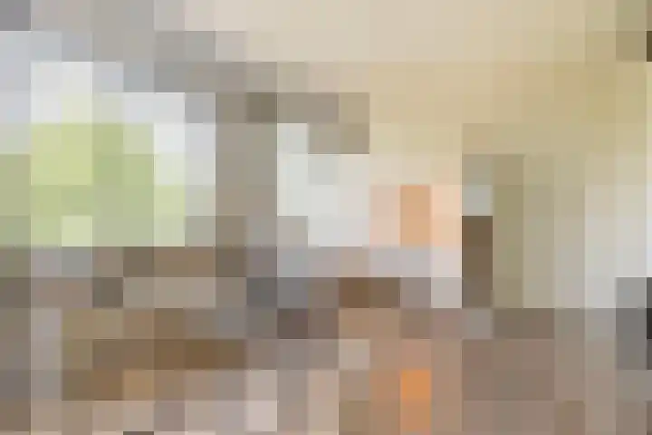 Spinderweg 115 Ede thumbnail 9
