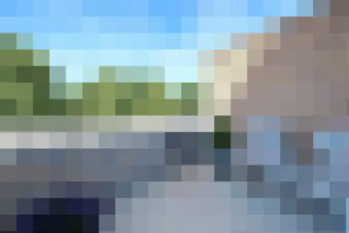 Spinderweg 119 Ede thumbnail 7