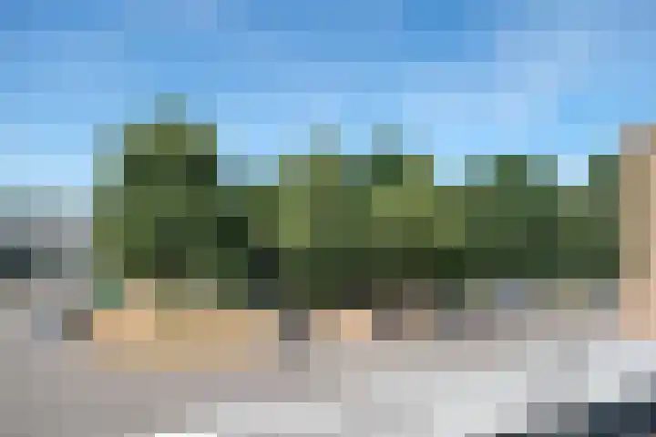 Spinderweg 119 Ede thumbnail 8