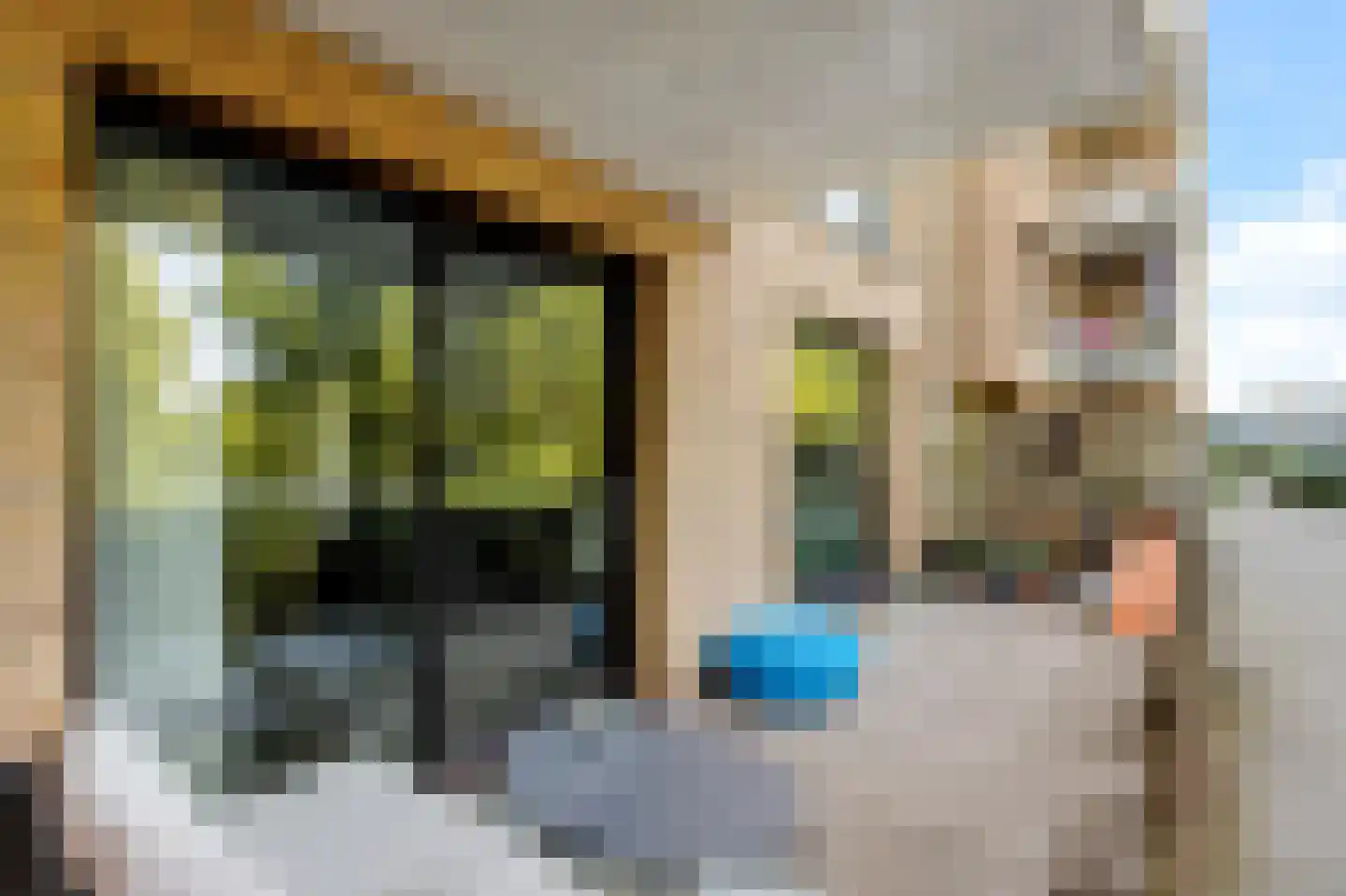 Spinderweg 51 Ede thumbnail 9