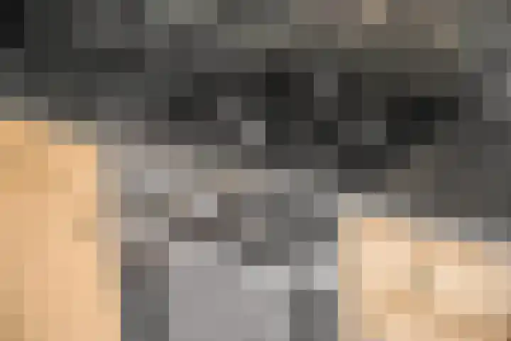 Spinderweg 6 Ede thumbnail 11