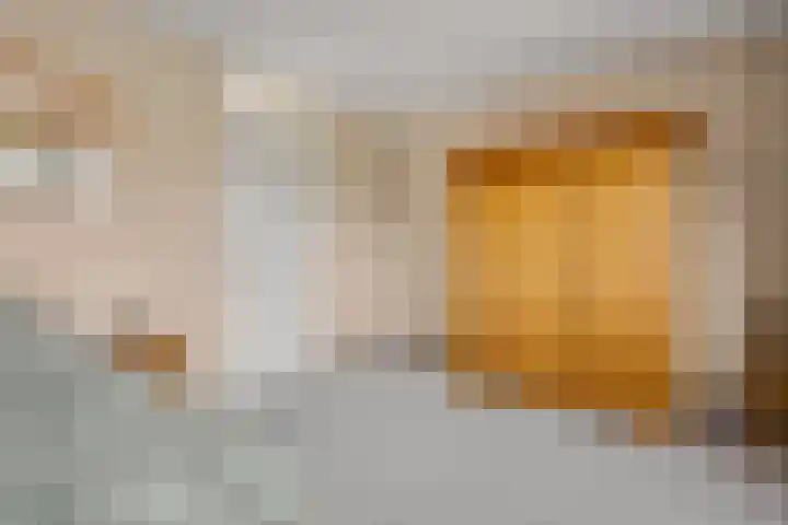 Spinderweg 6 Ede thumbnail 14