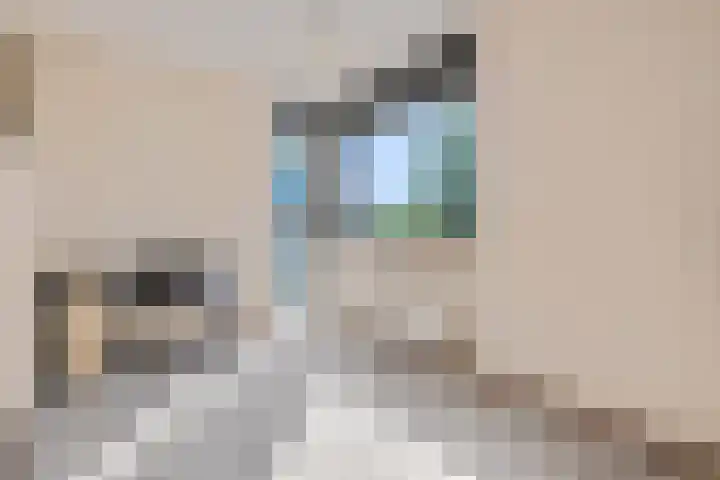 Spinderweg 6 Ede thumbnail 15